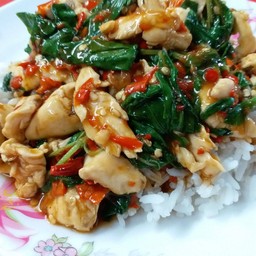 ข้าวกระเพราไก่