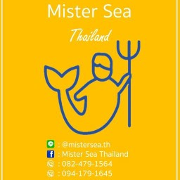MisterSea