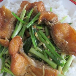 ปลากะพง ผัดขึ้นฉ่าย (กับข้าว)