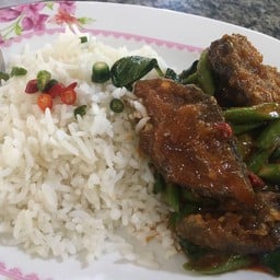 ร้านอาหารตามสั่งป้าแฉ้ลม