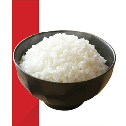 ข้าวญี่ปุ่น (Rice)
