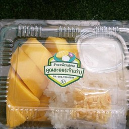 เซ็ตข้าวเหนียว+มะม่วงน้ำดอกไม้  (ชุดใหญ่)