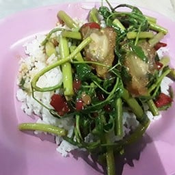กระเฉดหมูกรอบราดข้าว