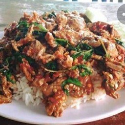 กระเพราเนื้อราดข้าว