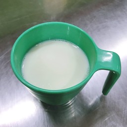 นมสดร้อน