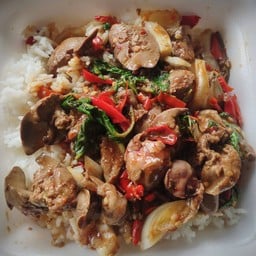 กระเพราตับไก่+ราดข้าว