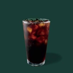 Cold Brew (Venti) [Starbucks]