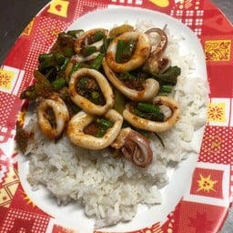 ข้าวราดผัดพริกแกง