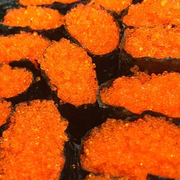 ไข่ปูส้ม