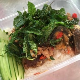 ข้าวกระเพราหมูสับไข่เยี่ยวม้า