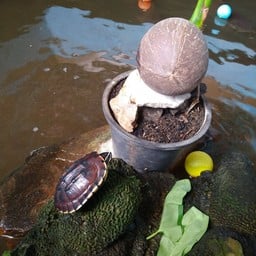 ครัวภูริ
