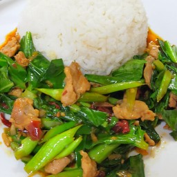 ผัดคะน้าหมูราดข้าว XL