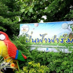 ปิ่นฟ้าฟาร์ม