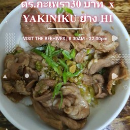 ดร.กะเพรา 30 บาท x yakiniku ย่าง HI