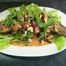 ปลาช่อนลุยสวน