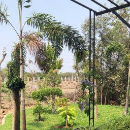 โอ๋ ชวนชิม