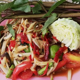 ตำแสบดาก