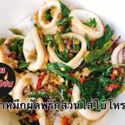 ปลาหมึกผัดพริกสวนโหระพาราดข้าว