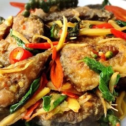ปลาดุกผัดฉ่า (กลับข้าว)