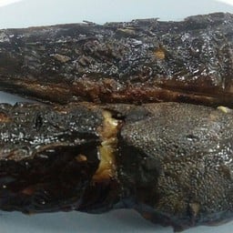 ปลาดุกย่าง