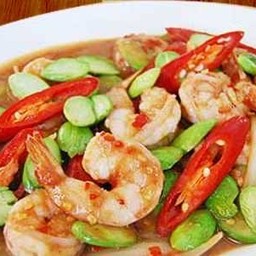 สตอผัดราดข้าว