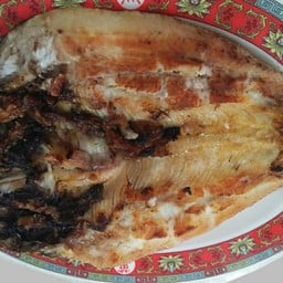 ปลาช่อนแผ่ย่าง