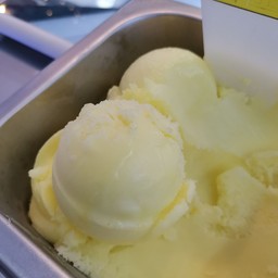 Yuzu Sorbet