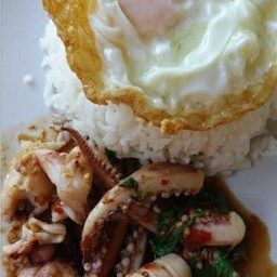 ข้าวกะเพราปลาหมึก+ไข่ดาว
