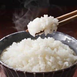 ข้าวญี่ปุ่น