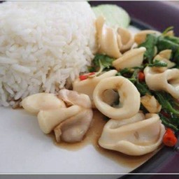 ข้าวกะเพราปลาหมึก