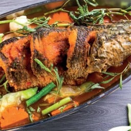 ปลาช่อนแป๊ะซะ