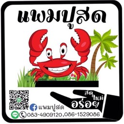 แพมปูสด