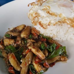 ข้าวผัดกะเพราปู (ธรรมดา)