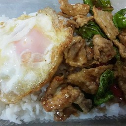กะเพราหมูชิ้น  ไข่ดาว