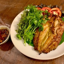 ปลาดุกย่าง