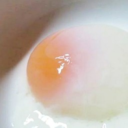 เพิ่มไข่ลวก