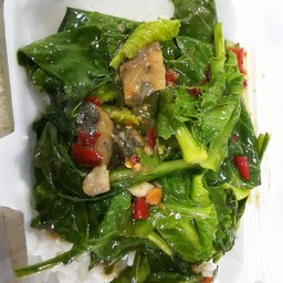 ผักแขนงปลาเค็มราดข้าว