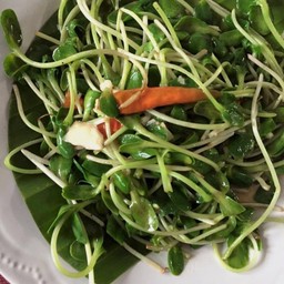 ยอดทานตะวันน้ำมันหอย