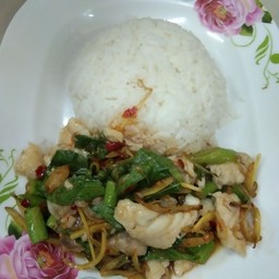 ผัดฉ่าหมู ไก่ราดข้าว