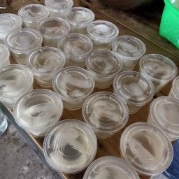 วุ้นมะพร้าวน้ำหอม By เราไม่ทิ้งกัน