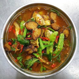 แกงป่าปลาช่อน