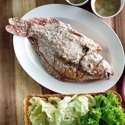 ปลาเผา นายช่าง