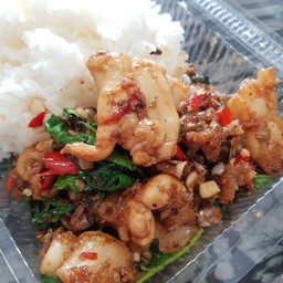 ข้าวกะเพราไข่ปลาหมึก