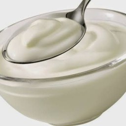 Plain dahi or yogurt