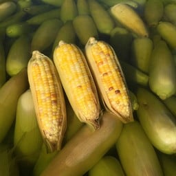 ข้าวโพดสามสี