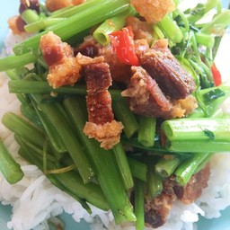 ผัดผักบุ้งน้ำมันหอย (ใส่พริก) กับข้าว