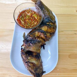 ปลาดุกย่าง