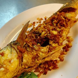 ปลากระบอกทอดขมิ้น