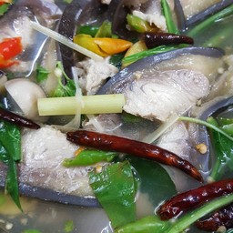 ต้มยำปลาบึก250฿