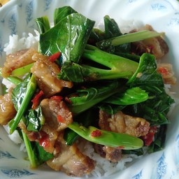 คะน้าหมูกรอบราดข้าว